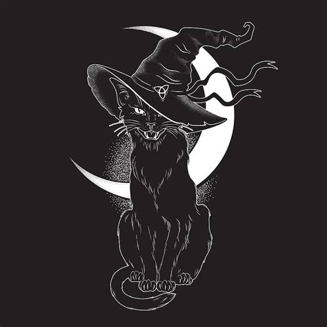 Black cat witch cartoon